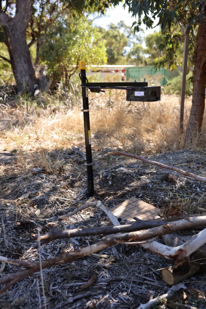 One of the motion-sensor cameras provided by Murdoch University