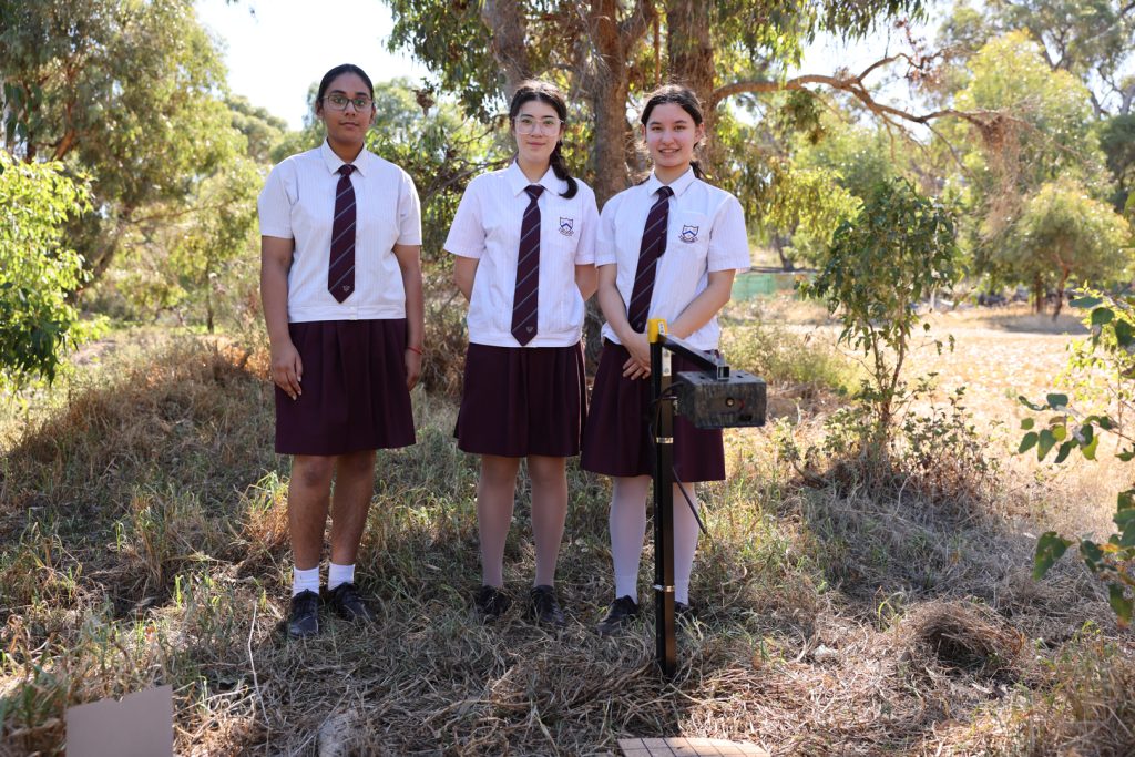 Students setting up their cameras